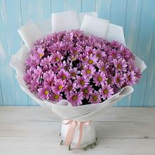 Букет цветов из:  Хризантемы в Нижний Ингаш