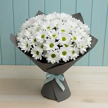 Букет цветов из:  Хризантемы в Нижний Ингаш