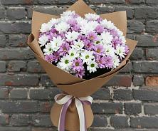 Букет цветов из:  Хризантемы в Нижний Ингаш