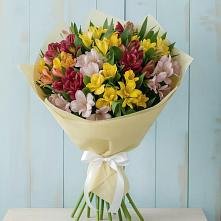 Букет цветов из:  Альстромерии #REPLACE_PRED# Нижний Ингаш